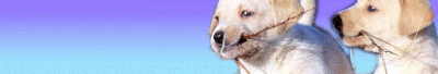 Click here to load this browser skin