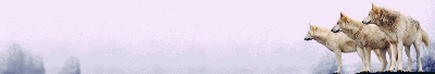 Click here to load this browser skin