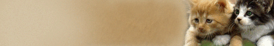 Click here to load this browser skin